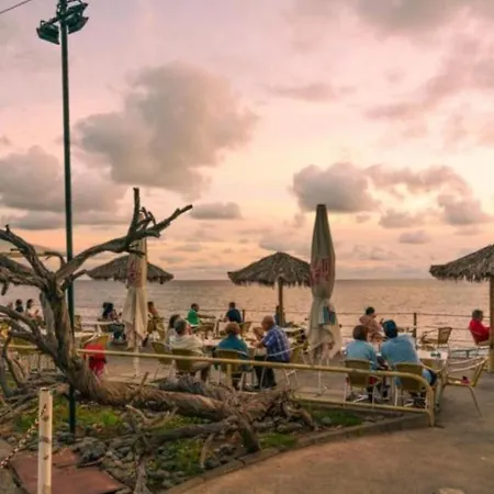 Appartamento The Stylish Apt. Of Madeira Palace Cc