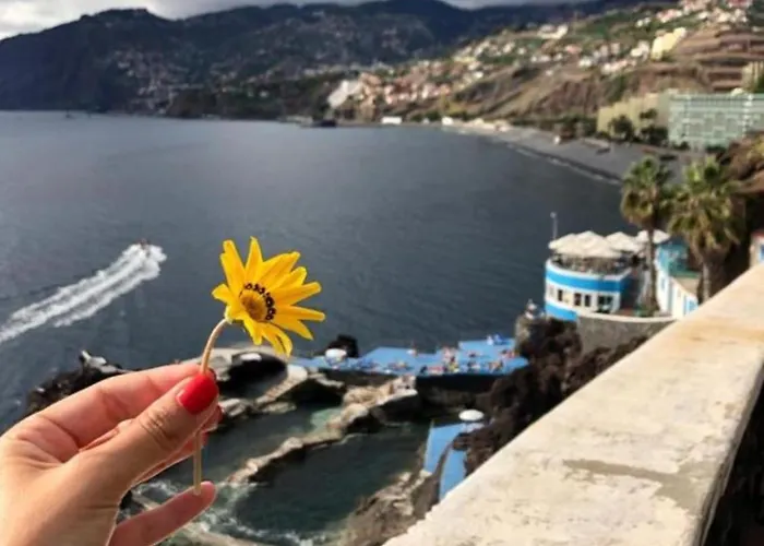 דירה The Stylish Apt. Of Madeira Palace Cc פונשל