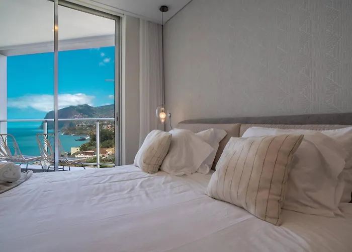 The Stylish Apt. Of Madeira Palace Cc